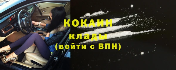 стаф Балахна