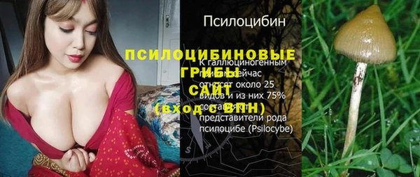 амф Нефтегорск