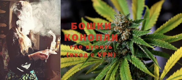 стаф Балахна