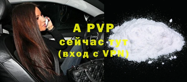 стаф Балахна