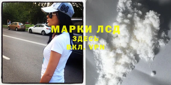 стаф Балахна
