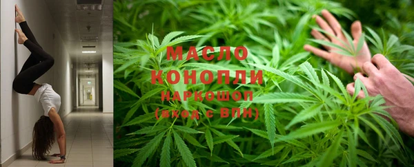 стаф Балахна