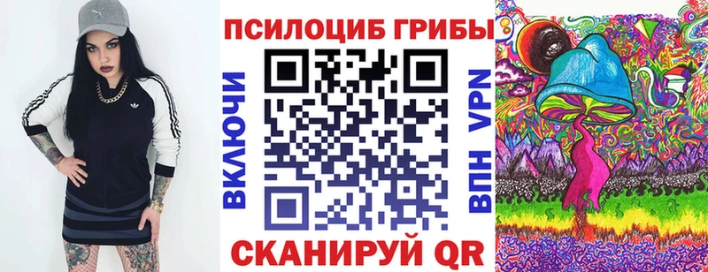 Псилоцибиновые грибы MAGIC MUSHROOMS  закладки  Выборг 
